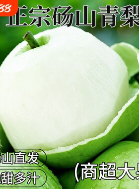 梨子正宗砀山梨青梨酥梨当季水果新鲜安徽皇翠冠整箱香梨雪梨青皮