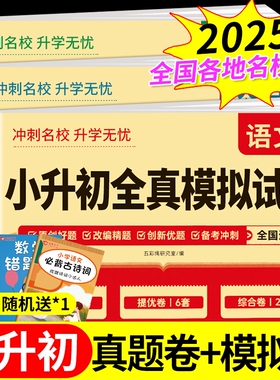 2025小升初真题卷语文数学英语必刷题人教版小学毕业升学总复习六年级试卷测试卷考试暑假衔接教材浙江广东湖南E名校初中练习冲刺