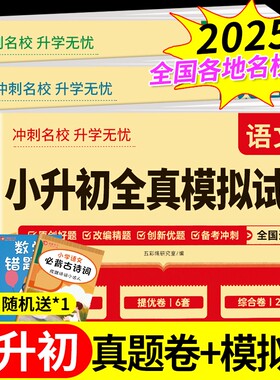 2025小升初真题卷模拟试卷