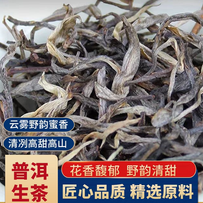 云南普洱生茶散茶 普洱古树茶散茶 云南大叶种茶 云青
