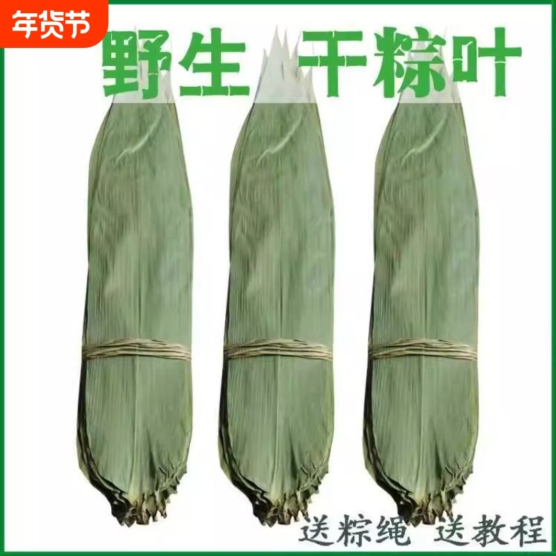 干粽叶棕叶粽子叶新鲜大号家用竹叶包粽子的粽叶特大码叶子斑斓叶