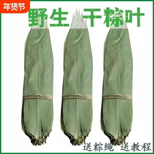 干粽叶棕叶粽子叶新鲜大号家用竹叶包粽子的粽叶特大码叶子斑斓叶