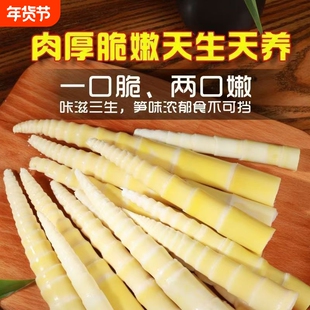 江西竹笋新鲜鲜笋真空包装无水涮菜涮火锅食材泡椒袋装笋尖嫩笋