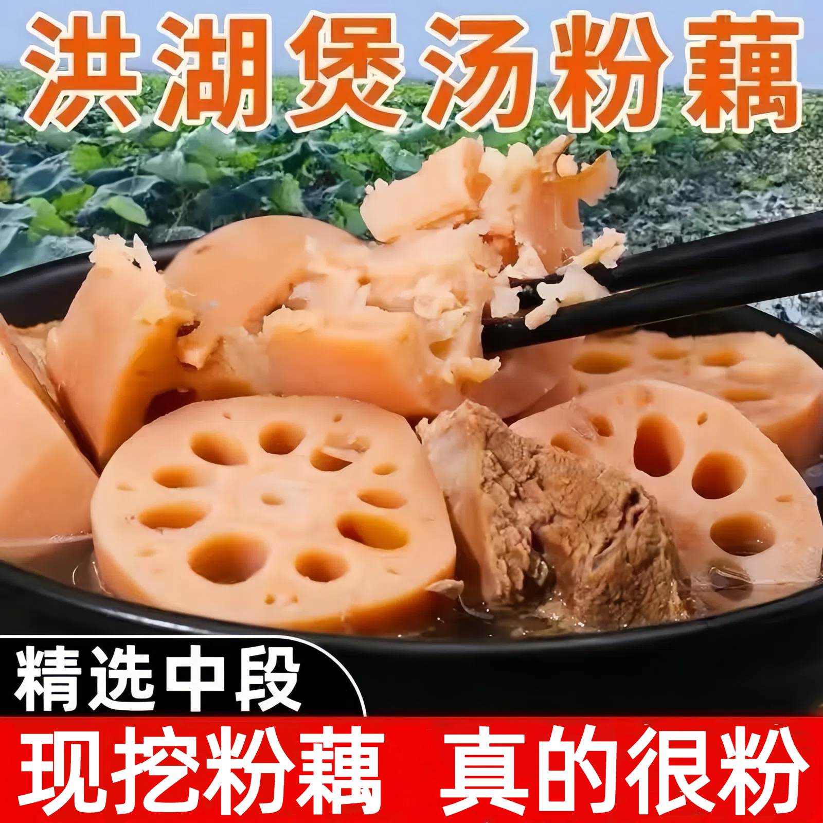 正宗湖北洪湖粉藕莲藕煲汤藕现发粉藕炖汤九孔藕特产红莲藕新鲜