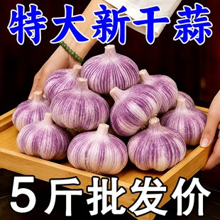 金乡大蒜大蒜头干蒜新蒜山东紫皮新鲜蔬菜蒜瓣农家批发自提当季