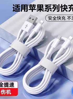 适用苹果快充线17/16/15promax正品14苹果13充电线PD30w手机11/XR快充8p车载iPad平板12闪充2米原7plus装文枝