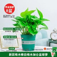 120#Галлон ранний бокс -коробка [8] Potting Pot +10 Fat 2