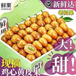 顺丰包邮鸡心黄皮果新鲜现摘黄弹子冰糖非郁南无核水果孕妇当季大