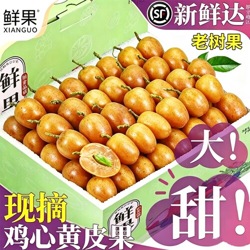 顺丰包邮鸡心黄皮果新鲜现摘黄弹子冰糖非郁南无核水果孕妇当季大