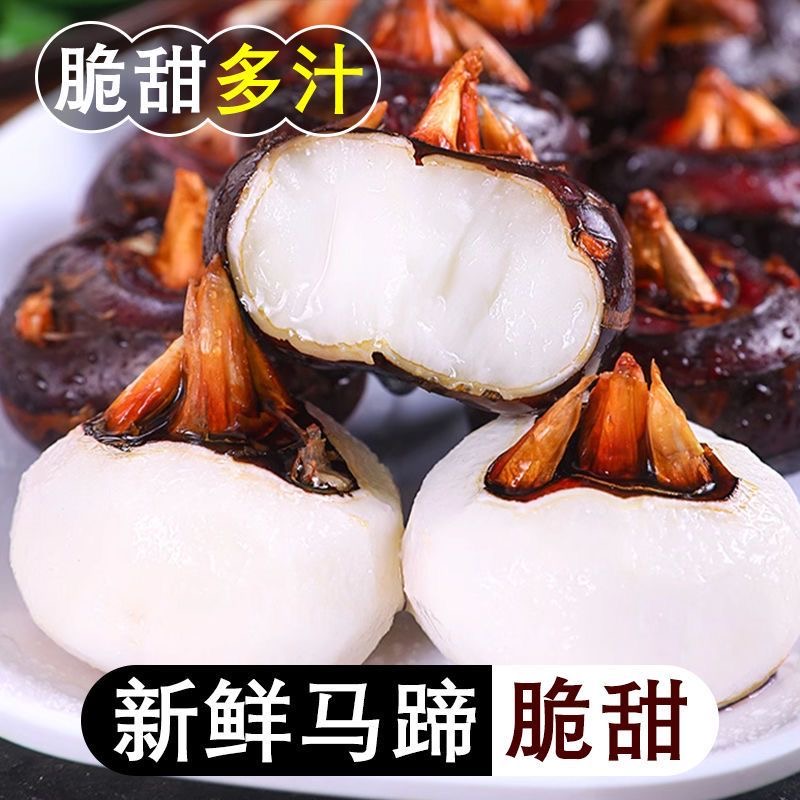 农家水田自种新鲜带泥发货马蹄清甜无渣荸荠精选大马蹄果地栗