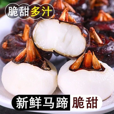 农家水田自种新鲜带泥发货马蹄清甜无渣荸荠精选大马蹄果地栗