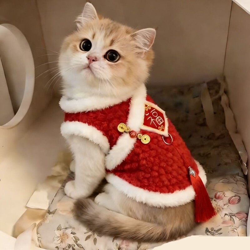 小猫咪衣服冬天新年刺绣福字背心布偶金渐层防掉毛加绒保暖衣过年