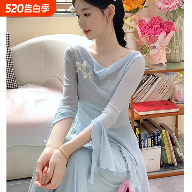 仙气荡领练功服古典舞蹈服装韵纱衣蝴蝶中国网纱长袖上衣女现代舞