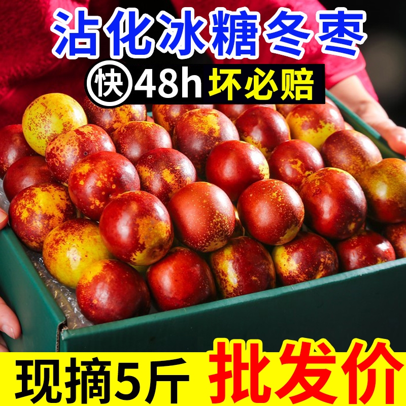 正宗沾化冬枣超甜5斤装