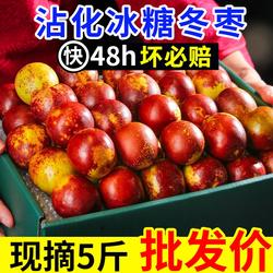【超甜】正宗沾化冬枣超脆甜应季新鲜现摘水果大枣子整箱批发