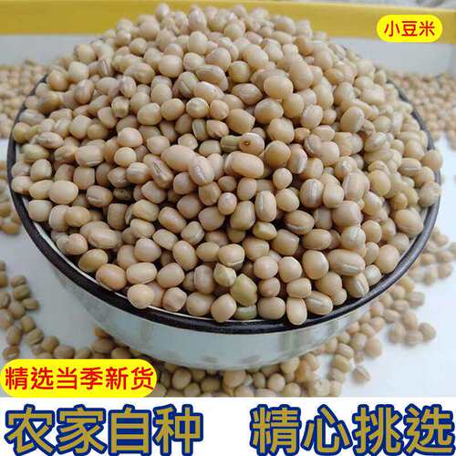 贵州遵义特产高原米豆新豆米