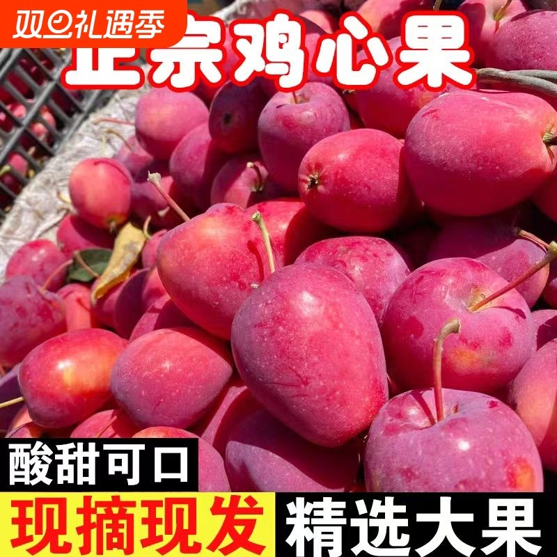 圣诞正宗东北鸡心果当季新鲜现采摘海棠果酸甜脆口小苹果甜脆沙果