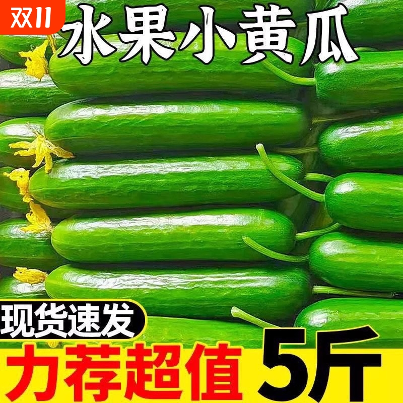 新鲜水果黄瓜脆嫩|超2.6万次加购