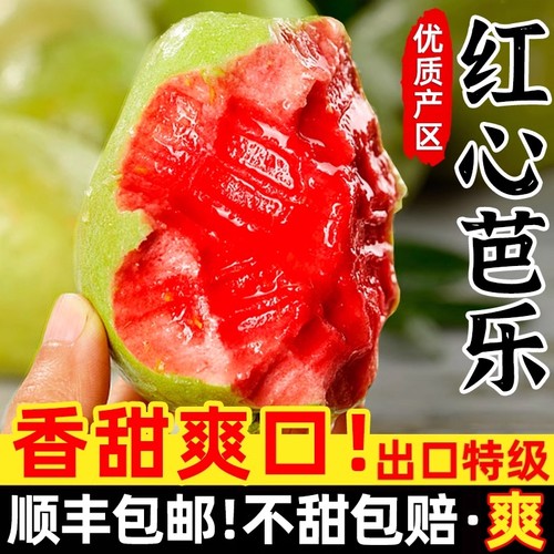 芭乐水果新鲜包邮红心时令巴乐果高甜低糖应季番石榴软糯脆甜