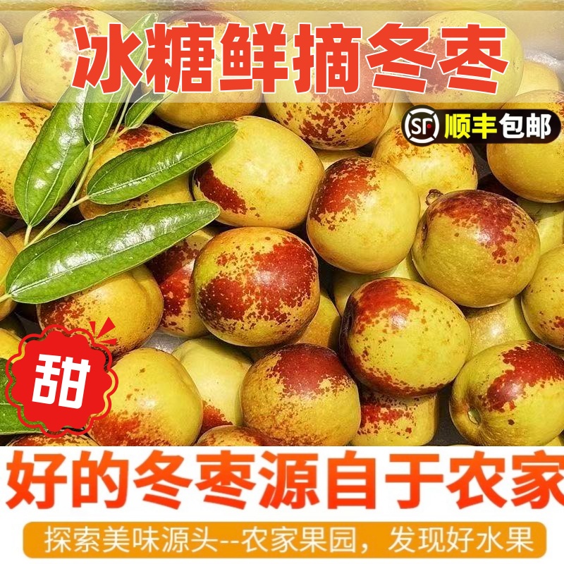 顺丰包邮正宗冬枣新鲜大果应季整箱枣子现摘脆枣冰糖大枣当季水果