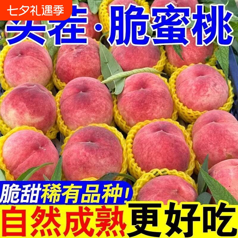 2026正宗脆蜜桃新鲜水果脆甜桃毛桃水蜜桃子当季整箱批发价现摘