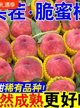 2026正宗脆蜜桃新鲜水果脆甜桃毛桃水蜜桃子当季整箱批发价现摘