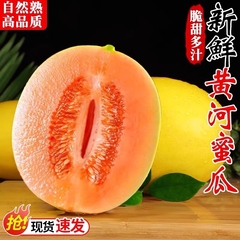 民勤黄河蜜瓜现摘甜瓜水果新鲜当季整箱甘肃黄金哈密瓜香瓜羊角