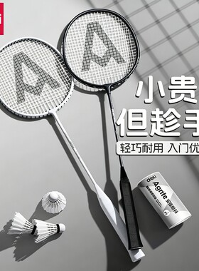 得力安格耐特羽毛球拍全碳素纤维超轻专业球拍套装高颜值入门双排