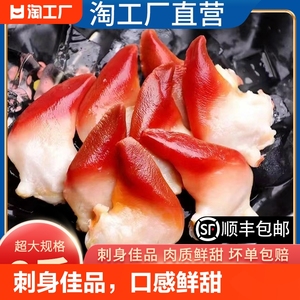北极贝刺身黄金贝类商用未切片1kg盒北极贝日料店即食寿司食材