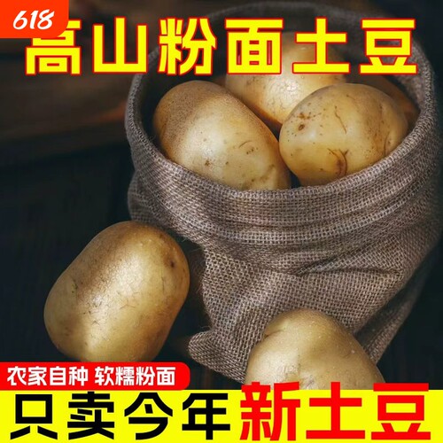 贵州黄心大土豆大洋芋