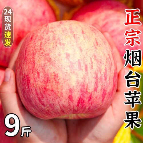 山东烟台红富士苹果新鲜水果当季栖霞萍果丑平果脆甜
