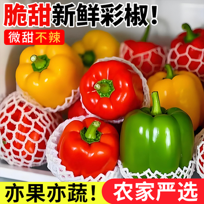 山东五彩甜椒寿光新鲜水果彩椒生吃七彩圆椒青椒红黄绿三拼辣椒