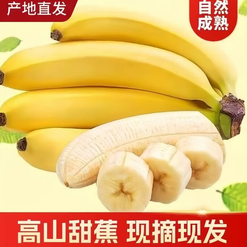高山大香蕉当季新鲜水果青皮香蕉现摘香甜需催熟甜蕉甜,水产肉类/新鲜蔬果/熟食,香蕉,淘宝优惠券,粉丝福利购,淘宝优惠卷