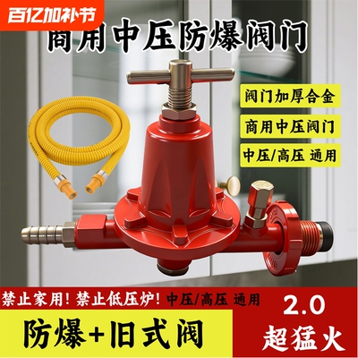 商用新国标防爆煤气罐高压阀减压阀燃气安全阀液化气中压阀猛火灶