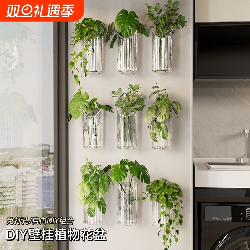 水培植物壁挂花盆透明绿萝鲜置物架创意客厅墙壁装饰挂件绿植花瓶