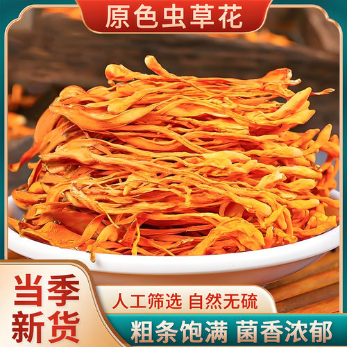 虫草花嫩干货孢子头新鲜北金蛹虫草煲汤商用凉拌野生试吃虾仁菌菇
