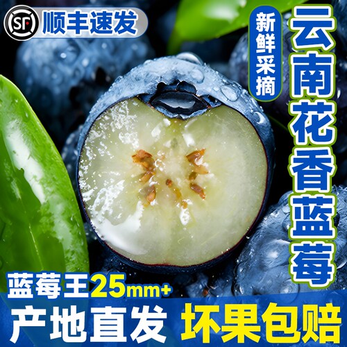 云南L25花香蓝莓鲜果当季云南大果新鲜水果顺丰包邮现摘脆甜水果