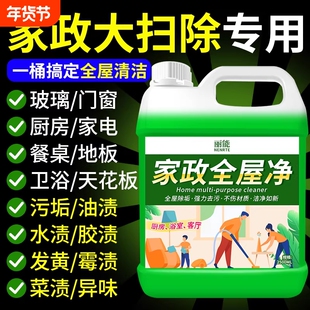 多功能清洁剂强力去污神器厨房玻璃清洗剂保洁大扫除家用工具瓷砖