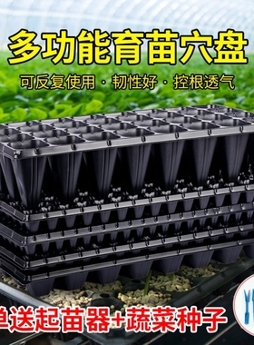 育苗神器穴盘育苗盘蔬菜塑料秧盘育苗盆托盘培育盆种植玉米发芽