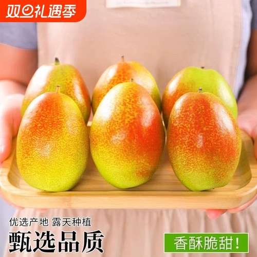 精选山西丹霞红酥梨正宗香梨脆梨子新鲜现摘当季孕妇水果特级皮薄