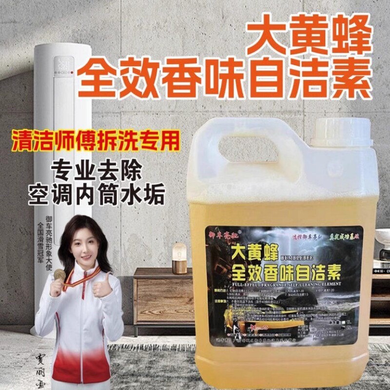 车用清洗自洁素洗空调家电清洗浓缩型自洁素免擦清洁污渍拆洗师