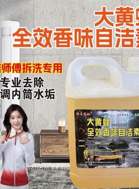 车用清洗自洁素洗空调家电清洗浓缩型自洁素免擦清洁污渍拆洗师