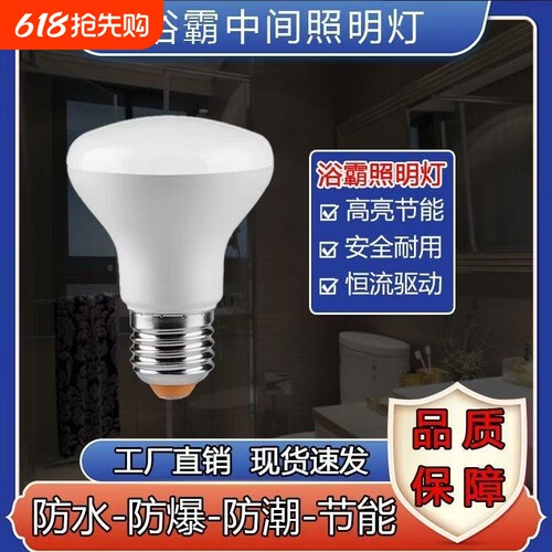 节能浴霸中间LED灯防水防爆