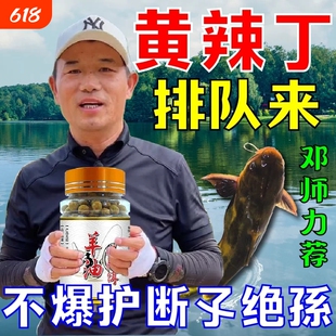 黄辣丁专用羊油颗粒饵料户外垂钓免打窝昂公昂刺黄颡鱼黄骨鱼饵料