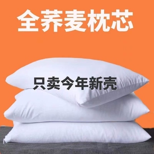 全荞麦皮枕头成人家用学生宿舍颈椎专用荞麦壳高枕芯带枕头套男女