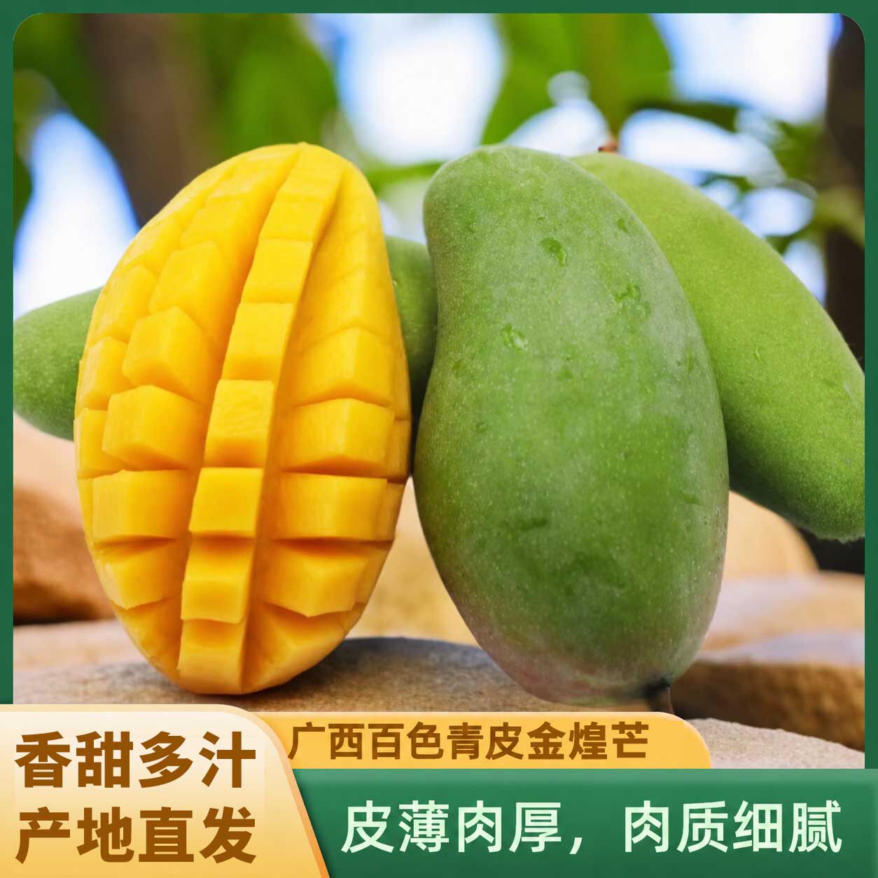 【桂七恋曲】广西正宗.金煌芒净重4.5斤