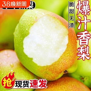 正宗新疆红香酥梨香梨新鲜应季水果梨子脆甜青薄皮整箱批发年货节