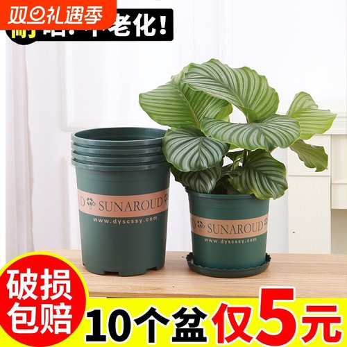 花大爷高款树脂塑料花盆加大加厚设计控根透气耐用加仑盆带托盘