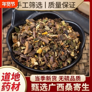 桑寄生中药材 正宗广西野生桑寄生 深山带叶寄生 新鲜干货 寄生茶