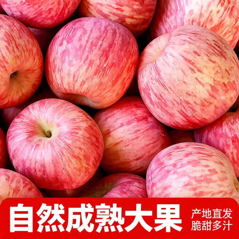 2025现摘正宗山东烟台红富士苹果